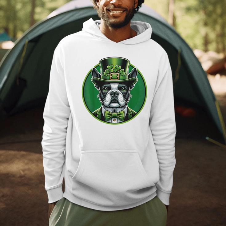 Boston Terrier Dog St Patricks Day Irish Pet Lover Men Women Kids Men Hoodie, novelty gifts, funny gifts