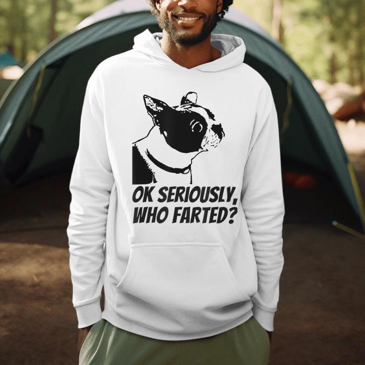 Boston Terrier Shirt Ok Seriously Who Farted Men Hoodie, novelty gifts, funny gifts