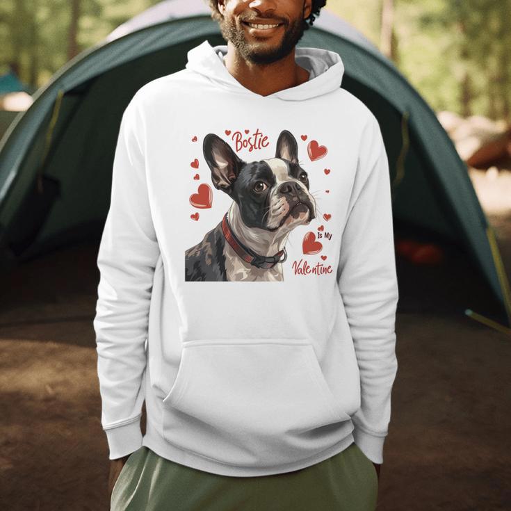 Boston Terrier Is My Valentine Cute Pet Dog Owner Valentine Men Hoodie, novelty gifts, funny gifts