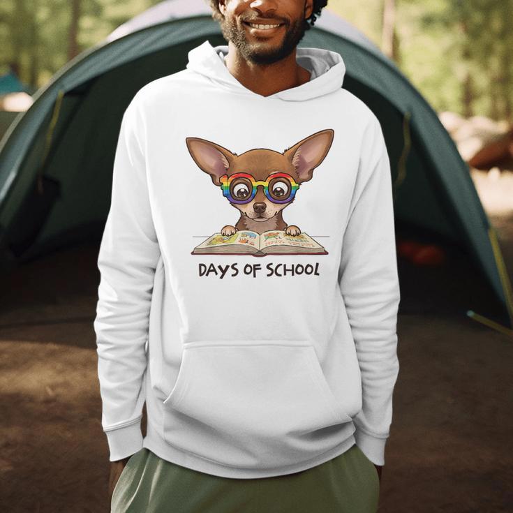 Chihuahua 100 Days Of School Rainbow Glasses Teacher Men Hoodie, novelty gifts, funny gifts