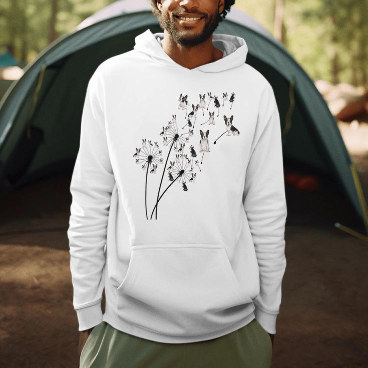 Dandelion Boston Terrier Flower Floral Bostie Tree Men Hoodie, novelty gifts, funny gifts