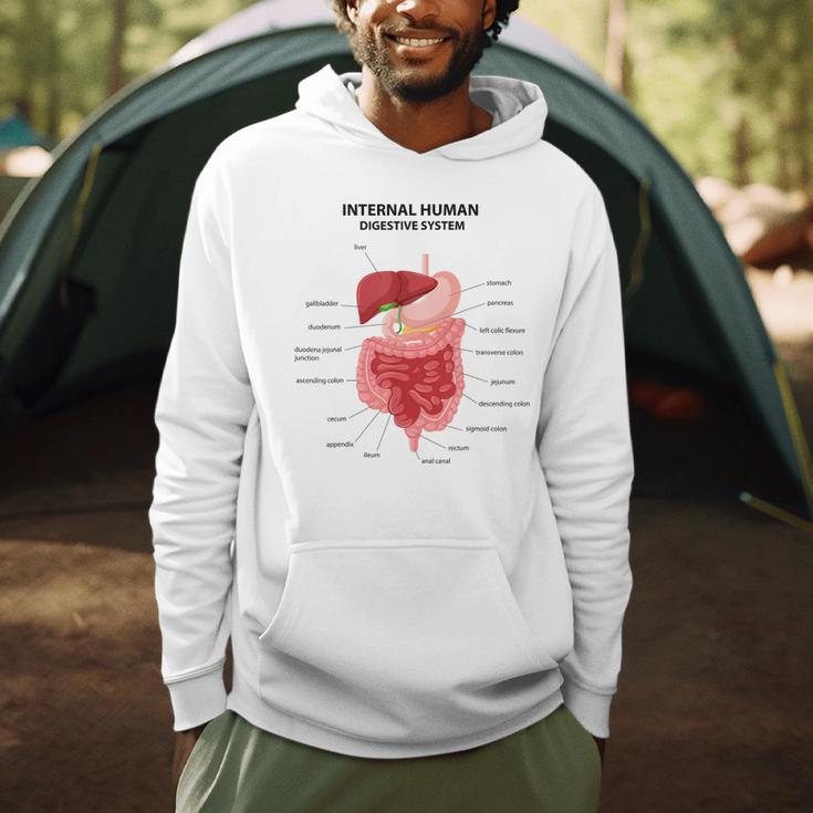Digestive System Anatomy Anatomical Biology Teacher Men Women Men Hoodie, novelty gifts, funny gifts