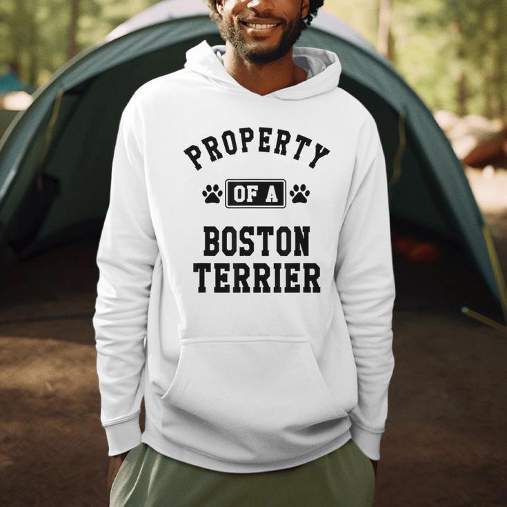 Property Of Boston Terrier Boston Terrier Shirt Men Hoodie, novelty gifts, funny gifts