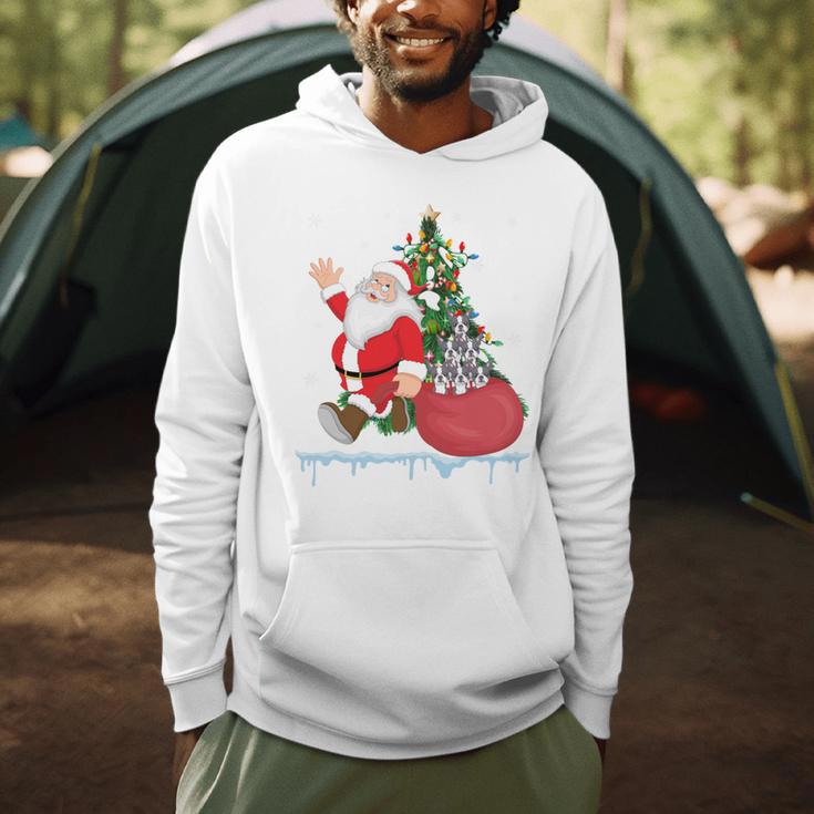 Santa Ugly Christmas Tree Lights Boston Terrier Dog Lover Men Hoodie, novelty gifts, funny gifts