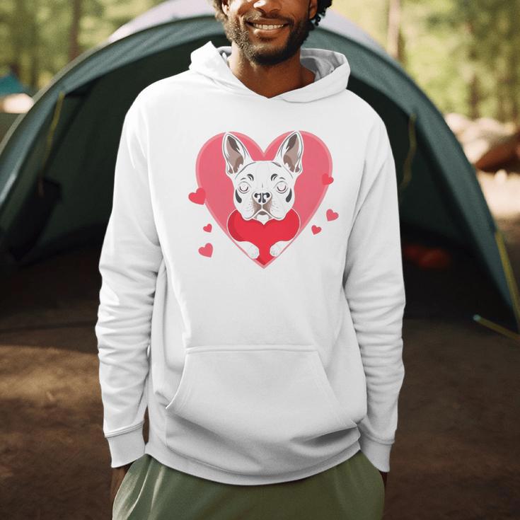 Valentine's Day Boston Terrier Heart Men Hoodie, novelty gifts, funny gifts