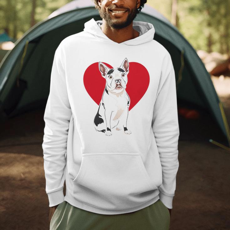 Valentine's Day Boston Terrier Lover Men Hoodie, novelty gifts, funny gifts
