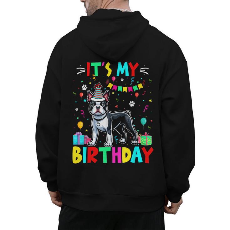 My Birthday Colorful Costume Boston Terrier Party Men's Hoodie Back Print