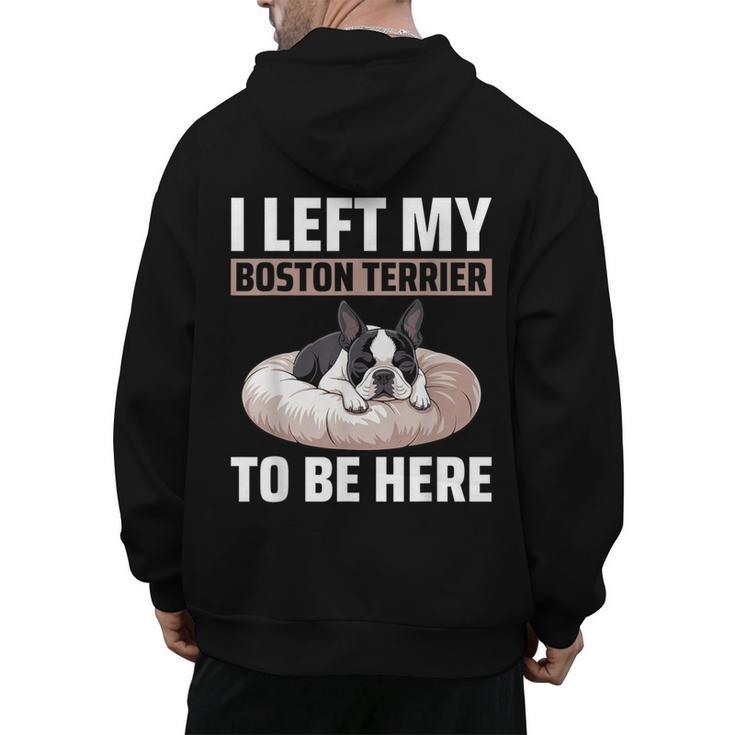 Boston Terrier Dog Men's Hoodie Back Print