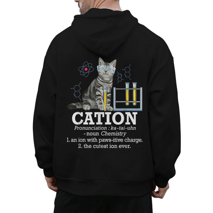 Cation Chemistry Humor Science Teacher Cat Pun Men's Hoodie Back Print
