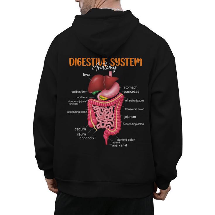 Digestive System Anatomy Anatomical Biology Teacher Men's Hoodie Back Print