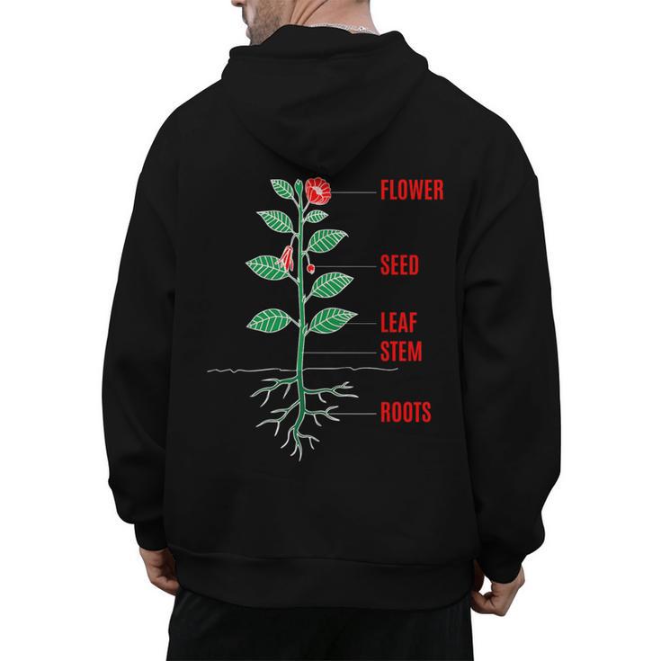 Parts Of a Plant Science For Teachers Kids And Students Men's Hoodie Back Print