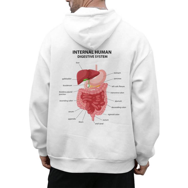 Digestive System Anatomy Anatomical Biology Teacher Men Women Men's Hoodie Back Print
