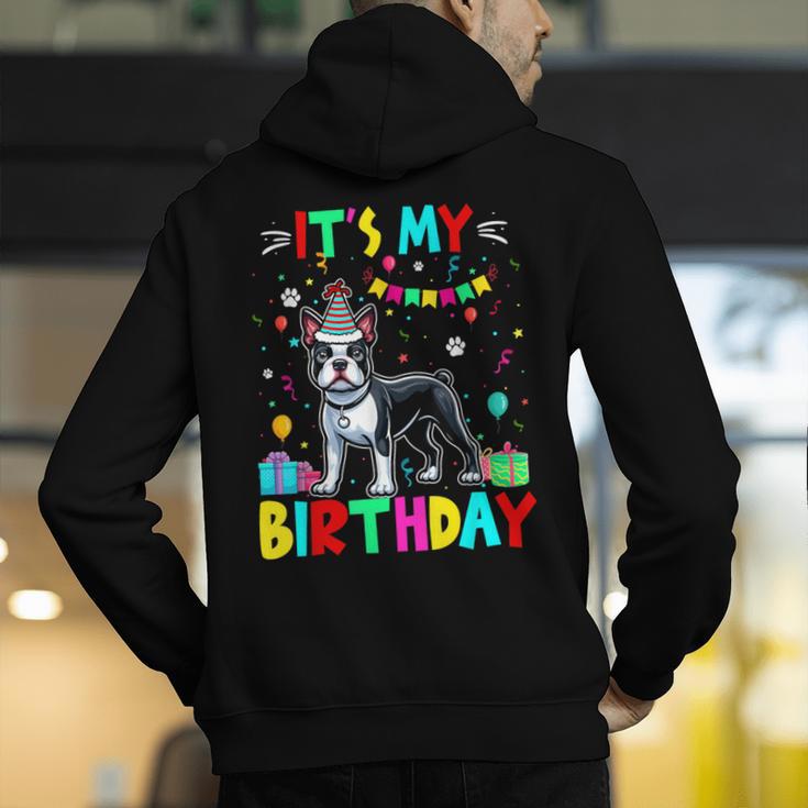 My Birthday Colorful Costume Boston Terrier Party Men's Hoodie Back Print, funny gift