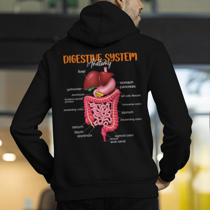 Digestive System Anatomy Anatomical Biology Teacher Men's Hoodie Back Print, funny gift Digestive System Anatomy Anatomical Biology Teacher Men's Hoodie Back Print, funny gift