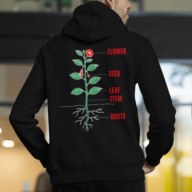 Parts Of a Plant Science For Teachers Kids And Students Men's Hoodie Back Print, Science Teacher Hoodies, funny gift