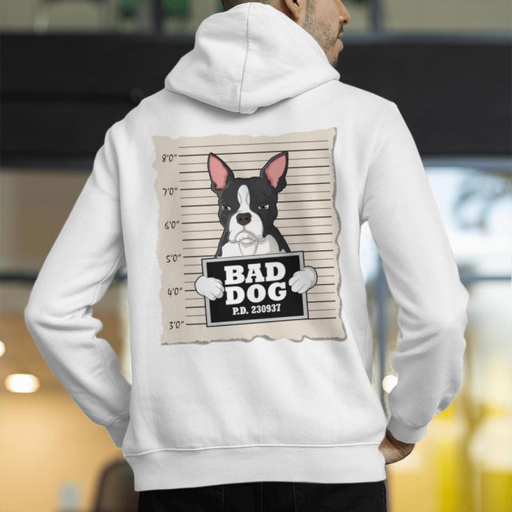 Boston Terrier Mug Shot Guilty Dog Men's Hoodie Back Print, funny gift