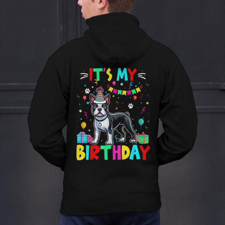 My Birthday Colorful Costume Boston Terrier Party Men's Hoodie Back Print, gift for family, gift for coworker