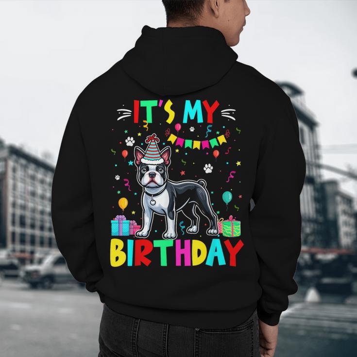 My Birthday Colorful Costume Boston Terrier Party Men's Hoodie Back Print, novelty gifts, funny gifts