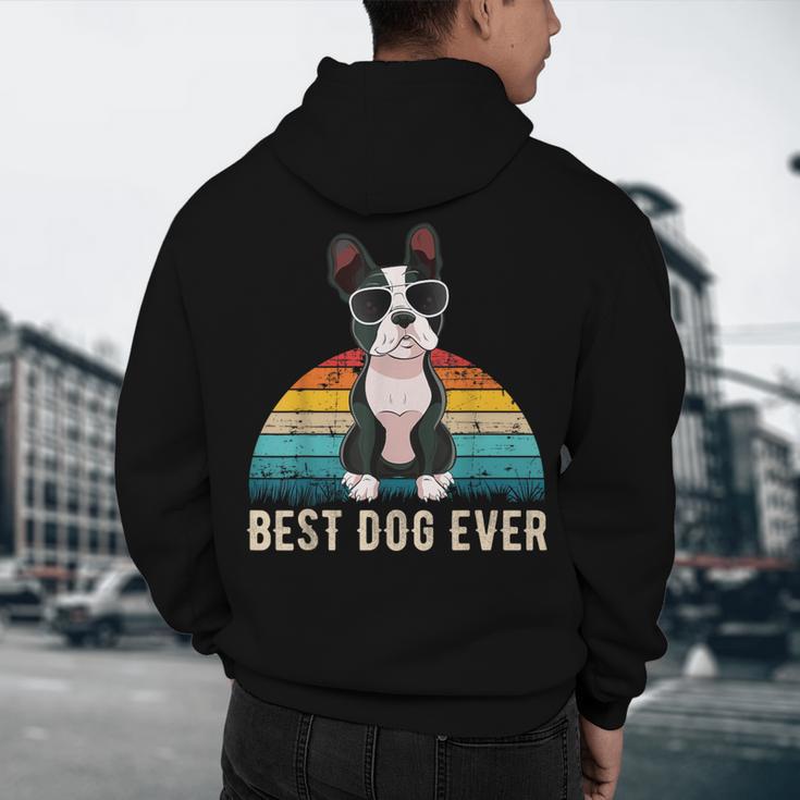 Boston Terrier Boston-Bulldog For Men Women Girls Kids Men's Hoodie Back Print, novelty gifts, funny gifts