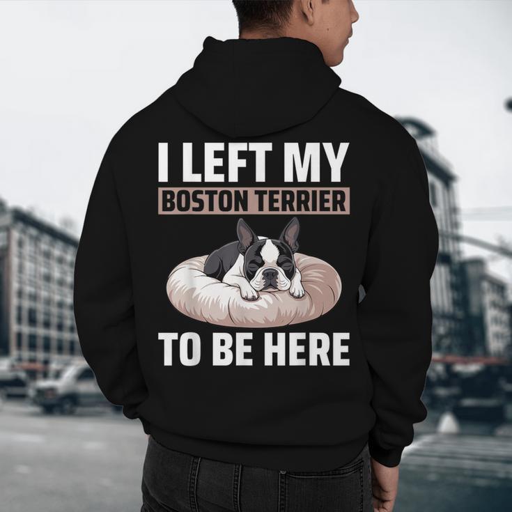 Boston Terrier Dog Men's Hoodie Back Print, novelty gifts, funny gifts