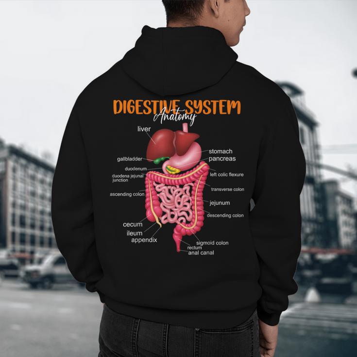 Digestive System Anatomy Anatomical Biology Teacher Men's Hoodie Back Print, novelty gifts, funny gifts Digestive System Anatomy Anatomical Biology Teacher Men's Hoodie Back Print, novelty gifts, funny gifts