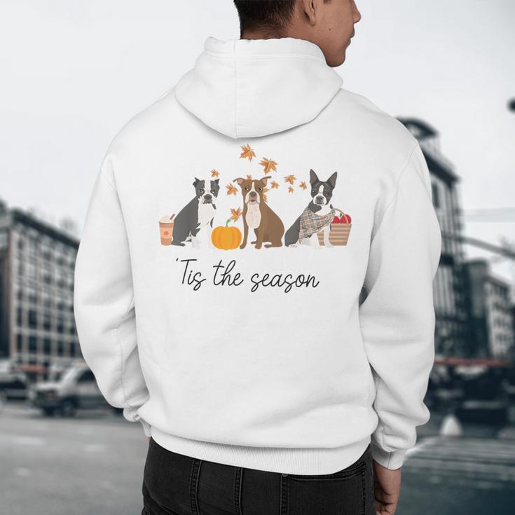 Boston Terrier Fall Pumpkin Tis The Season Autumn Women Men's Hoodie Back Print, novelty gifts, funny gifts