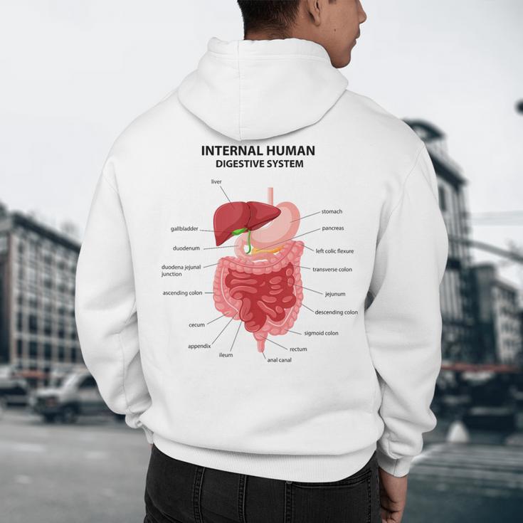 Digestive System Anatomy Anatomical Biology Teacher Men Women Men's Hoodie Back Print, novelty gifts, funny gifts Digestive System Anatomy Anatomical Biology Teacher Men Women Men's Hoodie Back Print, novelty gifts, funny gifts
