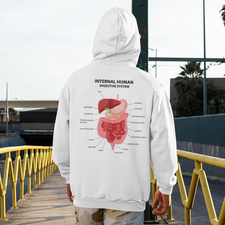 Digestive System Anatomy Anatomical Biology Teacher Men Women Men's Hoodie Back Print, funny design Digestive System Anatomy Anatomical Biology Teacher Men Women Men's Hoodie Back Print, funny design