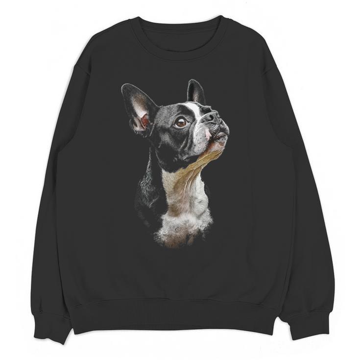 Boston Terrier Dog Graphic Pet Art Boston Terrier For Men Women Kids Unisex Sweatshirt