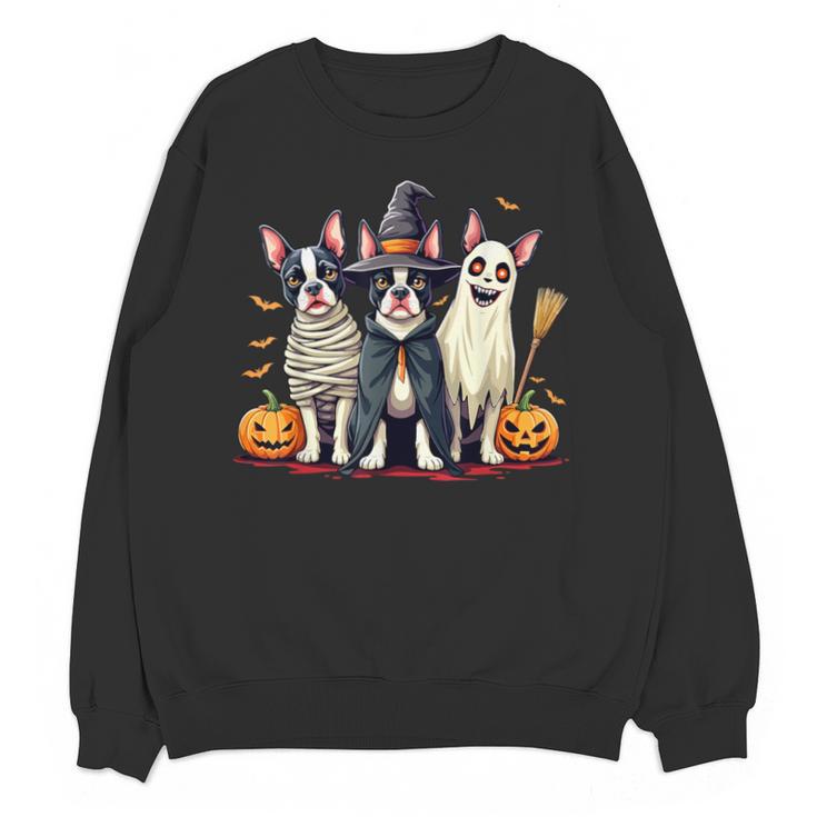 Boston Terrier Halloween Costume Mummy Witch Ghost Dog Lover For Men Women Kids Unisex Sweatshirt