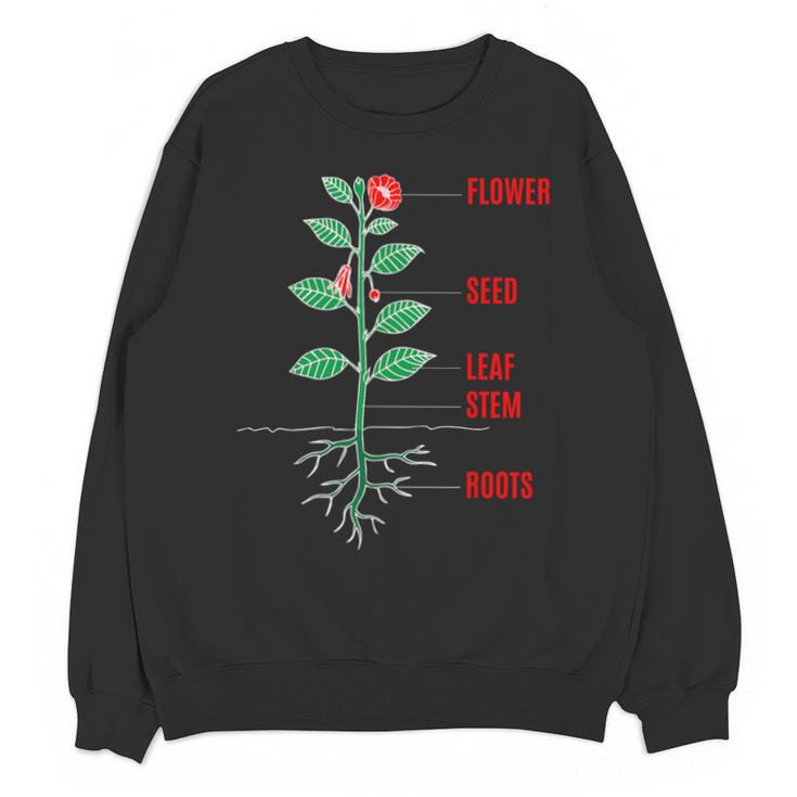 Parts Of a Plant Science For Teachers Kids And Students Unisex Sweatshirt