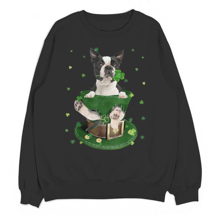 St Patrick's Day Leprechaun Boston Terrier Dog Shamrock For Men Women Kids Unisex Sweatshirt