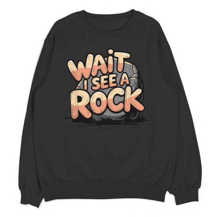Wait I See A Rock Geology Teacher Unisex Sweatshirt
