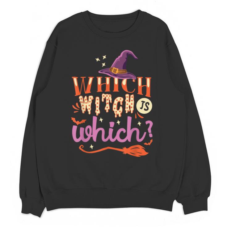 Which Witch Is Which Halloween English Teacher Unisex Sweatshirt