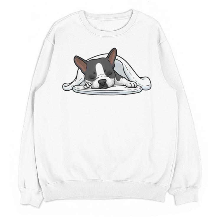 Boston Terrier Dog Official Sleeping Men Women Girls Kids Unisex Sweatshirt