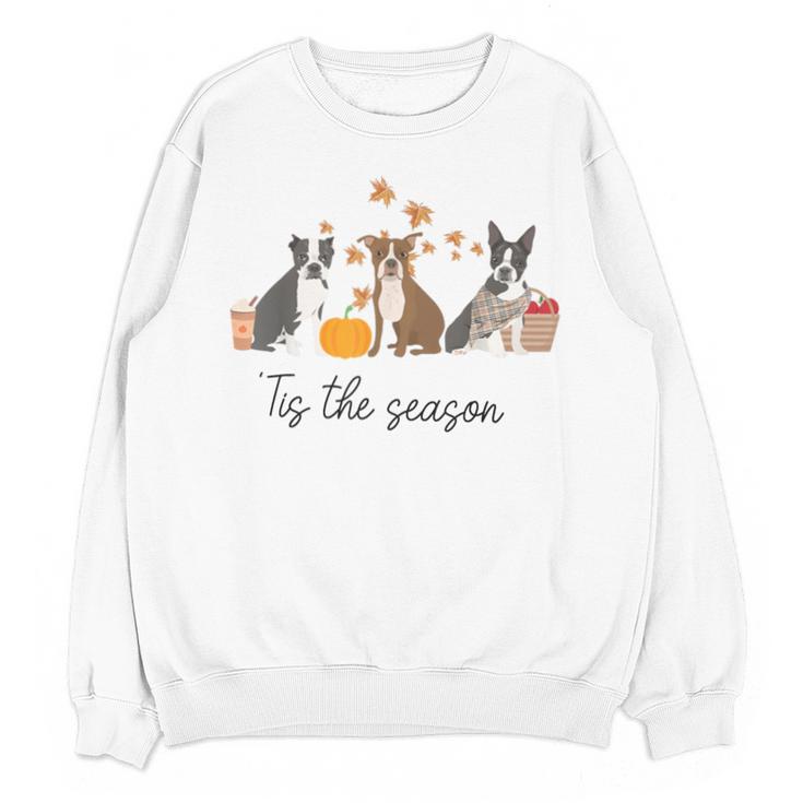 Boston Terrier Fall Pumpkin Tis The Season Autumn Women Unisex Sweatshirt