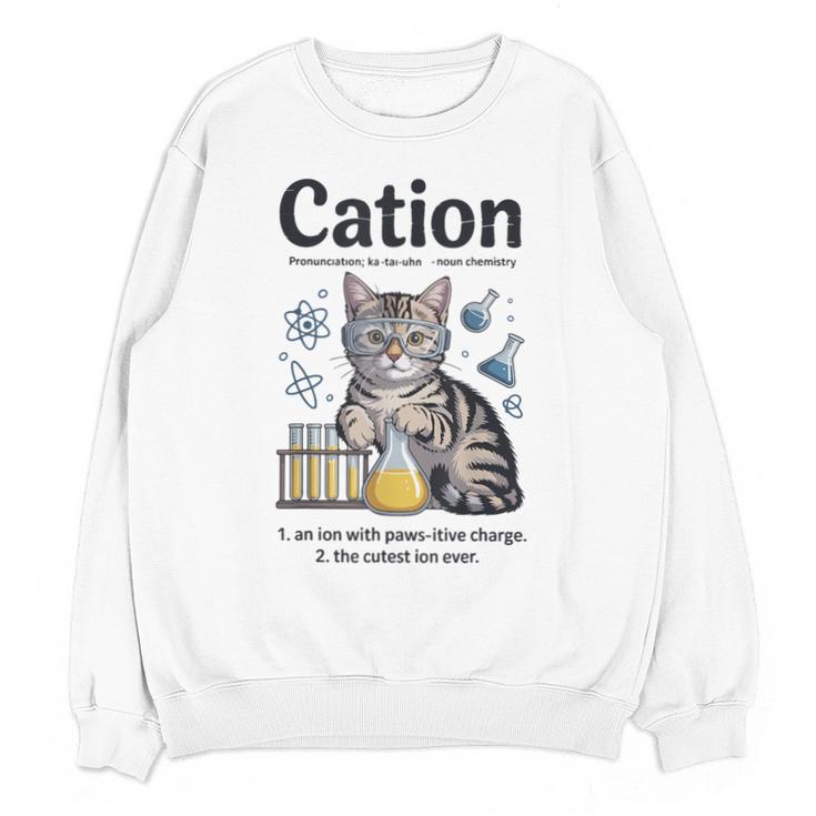 Cation Shirt Cat Science Chemistry Teacher Chemist Pun Unisex Sweatshirt