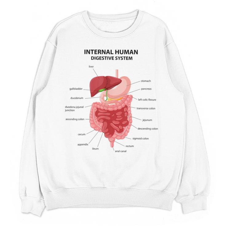 Digestive System Anatomy Anatomical Biology Teacher Men Women Unisex Sweatshirt