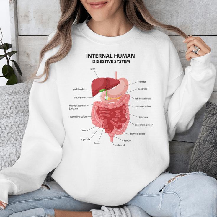 Digestive System Anatomy Anatomical Biology Teacher Men Women Unisex Sweatshirt, funny design Digestive System Anatomy Anatomical Biology Teacher Men Women Unisex Sweatshirt, funny design