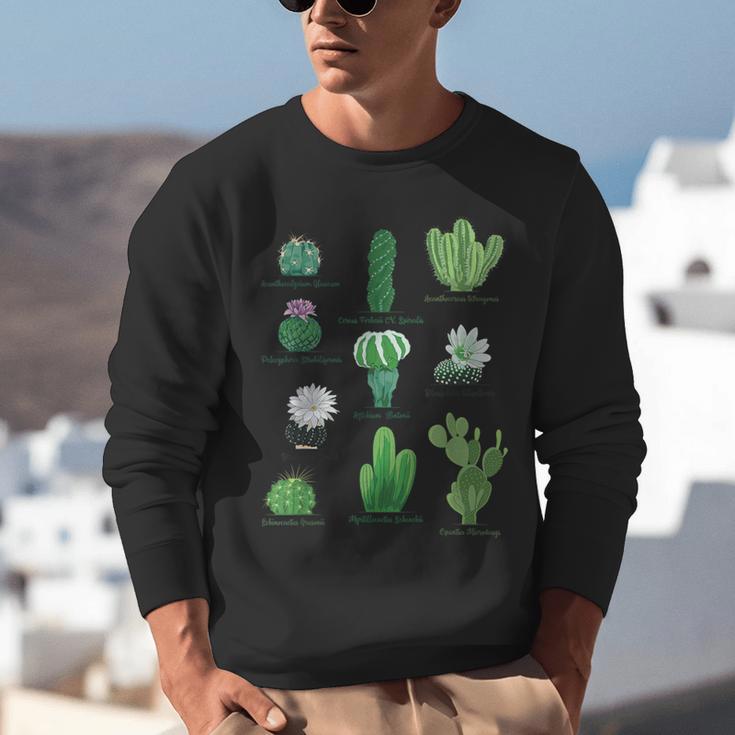 10 Types Of Cactus Succulent Teacher Chart Cactus Lover Tee Unisex Sweatshirt, funny gift 10 Types Of Cactus Succulent Teacher Chart Cactus Lover Tee Unisex Sweatshirt, funny gift