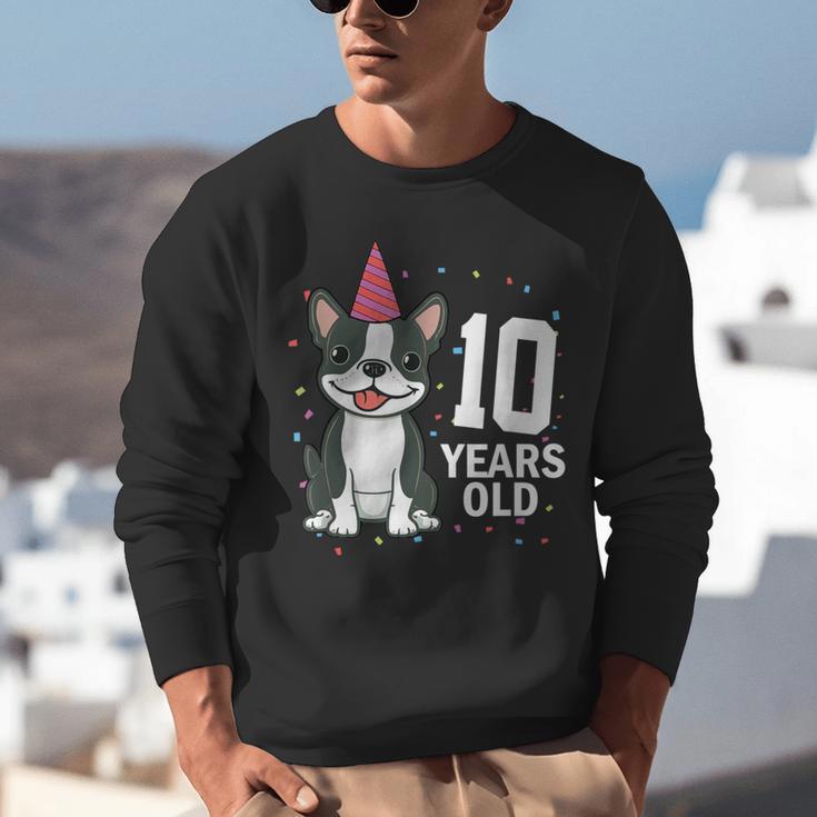 10 Years Old Birthday Boston Terrier Dog Lover 10th Party For Men Women Kids Unisex Sweatshirt, funny gift