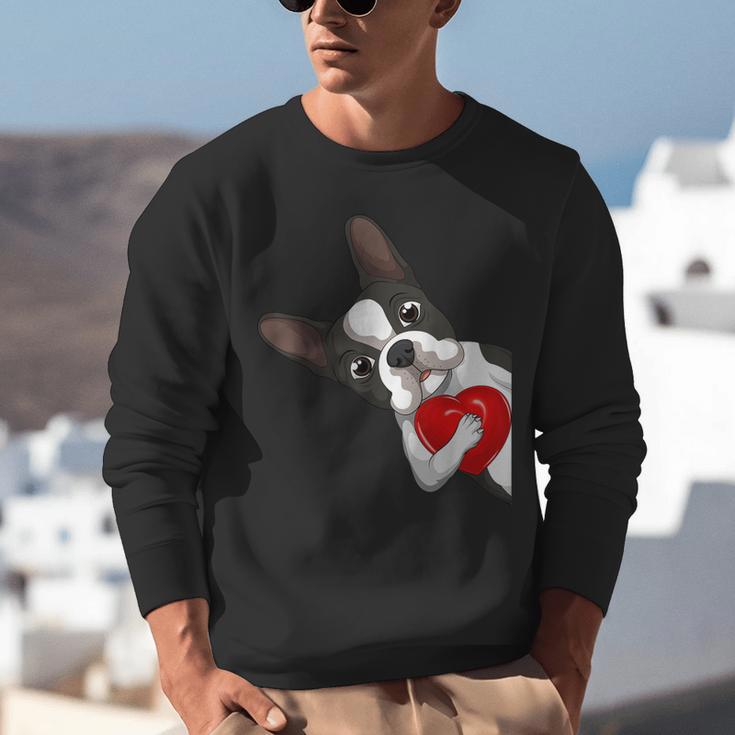 Boston Terrier Bostie Dog Kids Women Girls Unisex Sweatshirt, funny gift