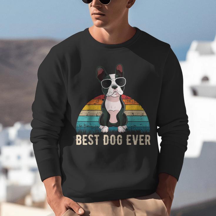Boston Terrier Boston-Bulldog For Men Women Girls Kids Unisex Sweatshirt, funny gift
