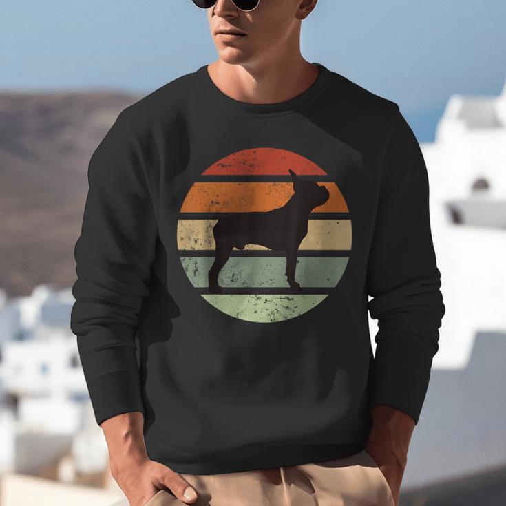 Boston Terrier Boston-Bulldog Unisex Sweatshirt, funny gift