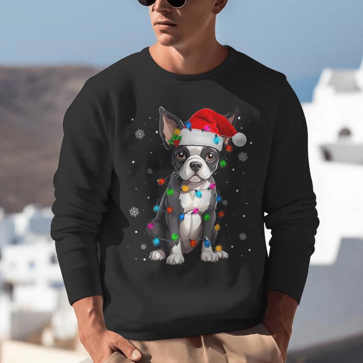 Boston Terrier Christmas Santa Hat Tree Lights Pajama Unisex Sweatshirt, Boston Terrier Christmas Sweatshirts, funny gift