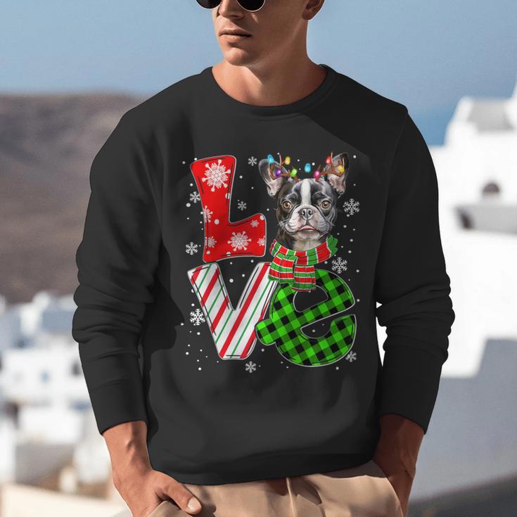 Boston Terrier Christmas Tree Lights Santa Dog Xmas For Men Women Kids Unisex Sweatshirt, Boston Terrier Christmas Sweatshirts, funny gift