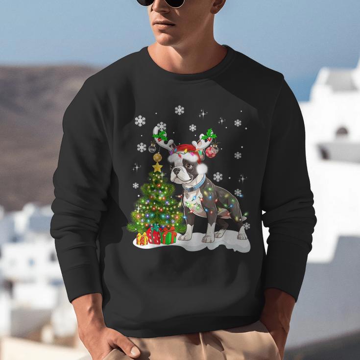 Boston Terrier Christmas Tree Lights Santa Hat Unisex Sweatshirt, Boston Terrier Christmas Sweatshirts, funny gift