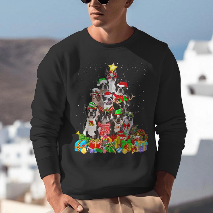 Boston Terrier Dog Christmas Tree Lights Xmas Pajama For Men Women Kids Unisex Sweatshirt, Boston Terrier Christmas Sweatshirts, funny gift