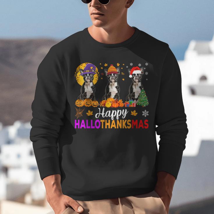 Boston Terrier Dog Halloween Christmas Hallothanksmas Men Women Kids Unisex Sweatshirt, Boston Terrier Halloween Sweatshirts, Boston Terrier Christmas Sweatshirts, funny gift