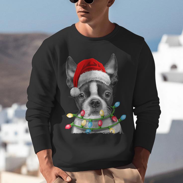 Boston Terrier Dog Santa Christmas Tree Lights Xmas Unisex Sweatshirt, Boston Terrier Christmas Sweatshirts, funny gift